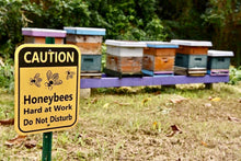 Load image into Gallery viewer, Kahalu`u Gold Raw Tropical Farm Honey (2020/2024)Good Food Awards National Winner)