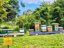 Load image into Gallery viewer, Kahalu`u Gold Raw Tropical Farm Honey (2020/2024)Good Food Awards National Winner)