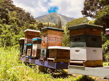 Load image into Gallery viewer, Kahalu`u Gold Raw Tropical Farm Honey (2020/2024)Good Food Awards National Winner)