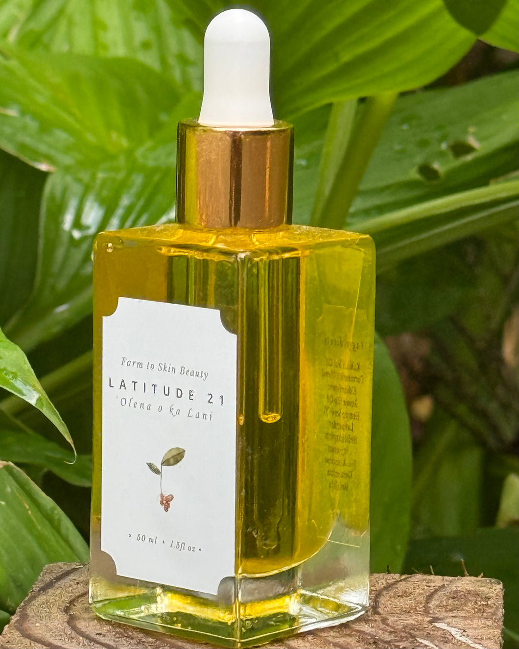 Latitude 21 The Golden Elixir (nourishing olena-kukui glow oil) (1.5 oz, 50 ml value size) https://www.latitude21skin.com/