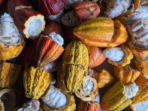 70% Cacao Summer 2021 Harvest Limited Reserve Dark Chocolate Bar