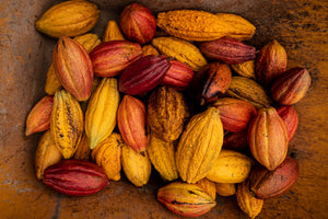 Single-origin 100% Hawaiian Cocoa Bean (sold by pound) (20-60 lbs)